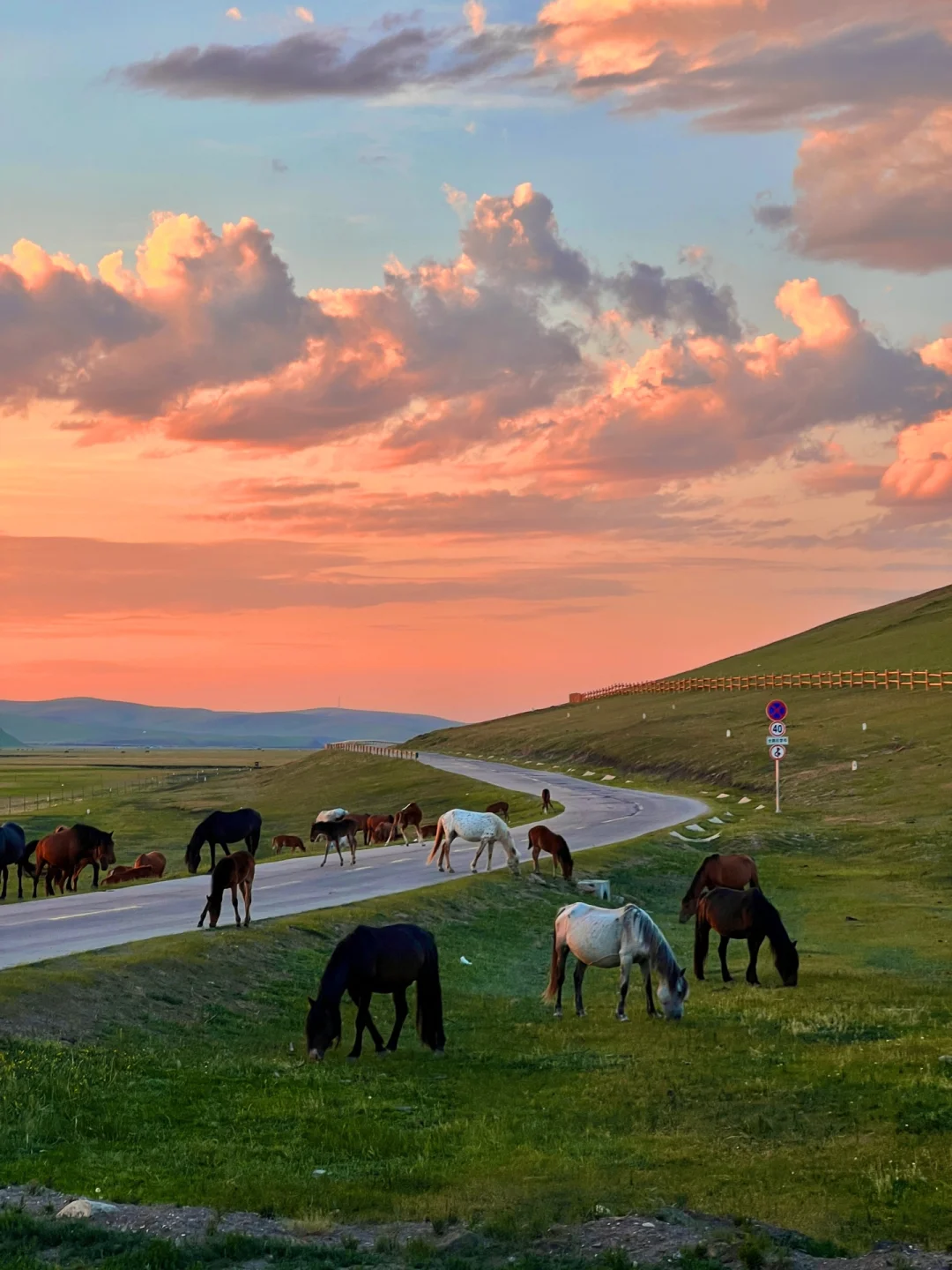 2024旅行结算，我的年度live图