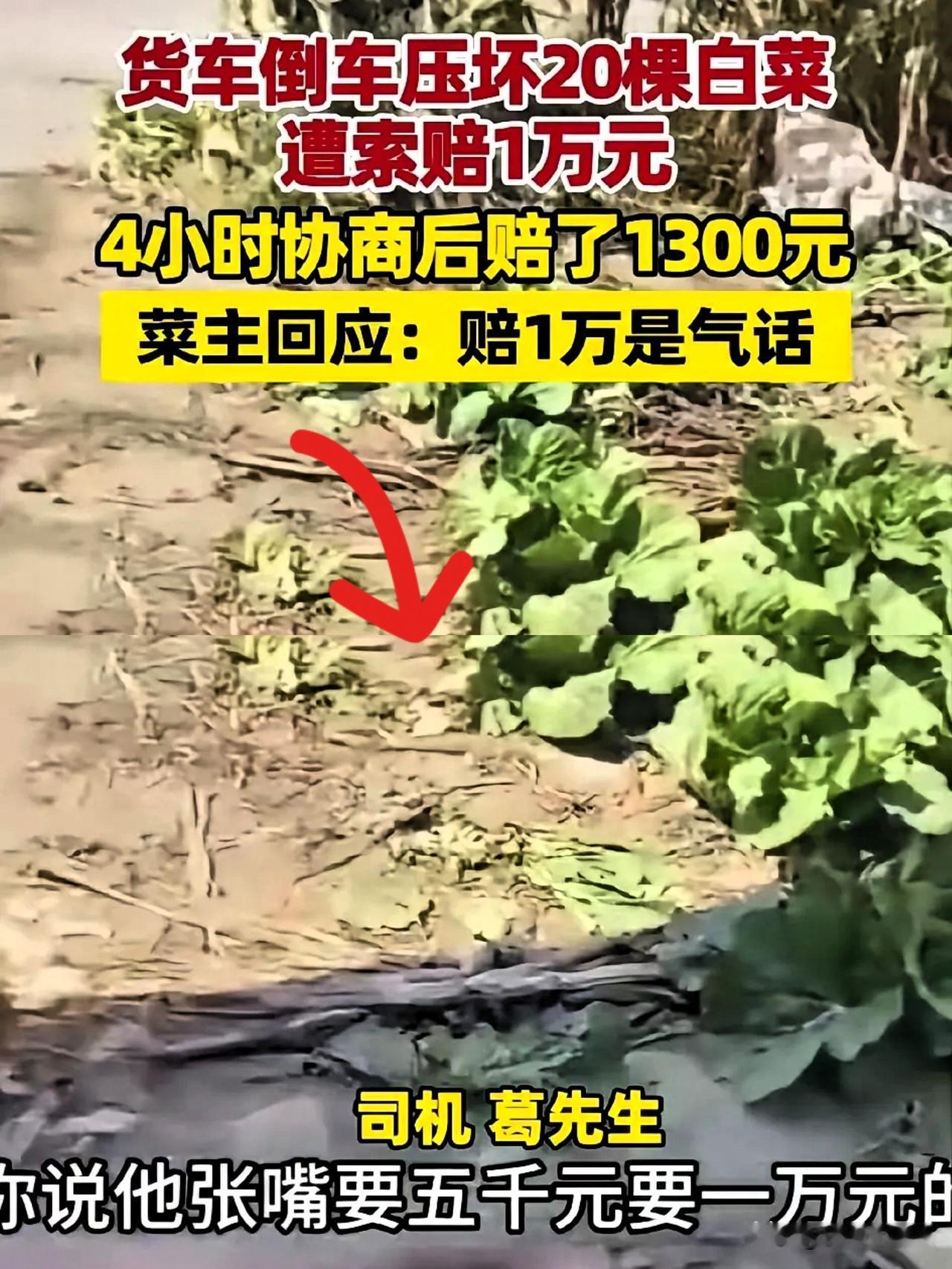 货车倒车压坏20棵白菜，菜主先索赔5000元，后又涨到1万，双方僵持4个多小时，