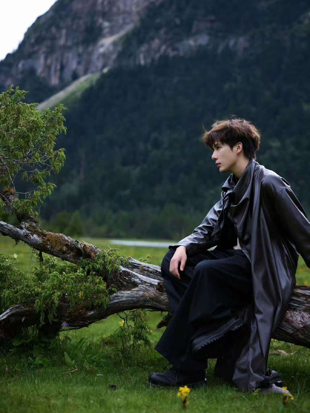 王安宇作词王安宇自作词新歌我勒个豆～王安宇好牛！王安宇[超话] ​ ​​​