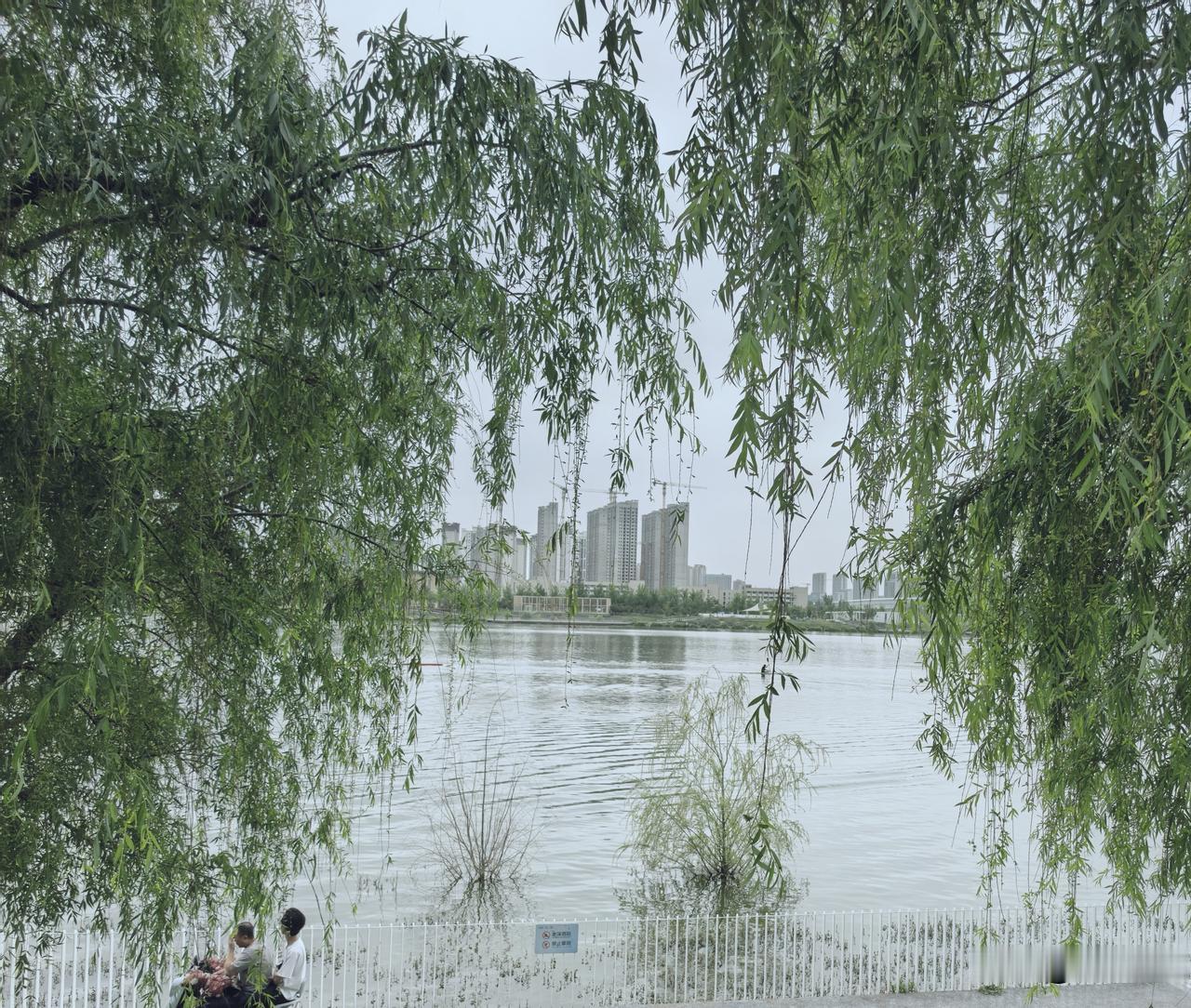 分享一张最近随手拍的照片城市里往往教我们做加法：升值，加薪，买车，买房……，却很