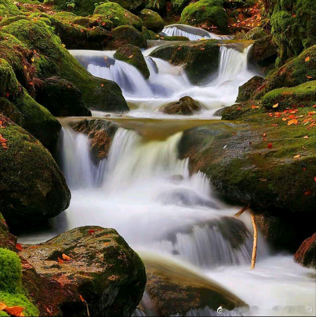 有人忙着证明，有人急着比较。人生最好的境界，是丰富的安静，心有山海，静而不争～早