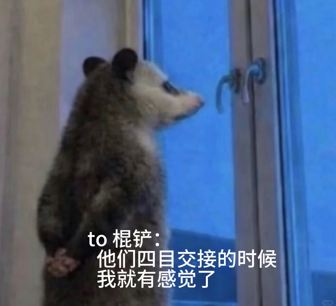 唱衰的 你们上那个🫘进tag里刷半个小时 刷完出来就春风满面恨不得把全世界都孝