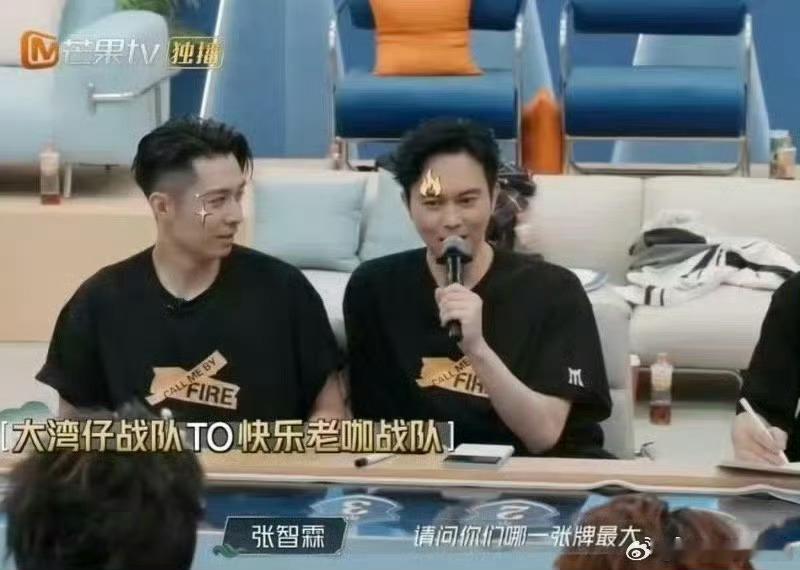 张智霖大湾仔大脑的含金量张智霖带队大湾仔，披哥选曲战放烟雾弹翻盘。三真一假提问藏