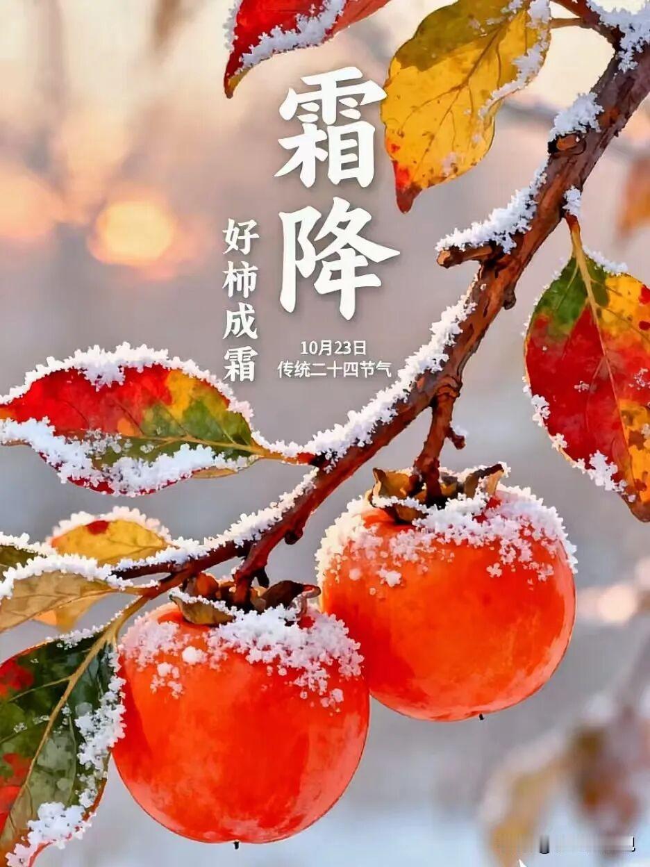 北方冷空气已经“到货”，华北一脚踩进冬天，南方早晚温差大到一天过两季。但话说回来