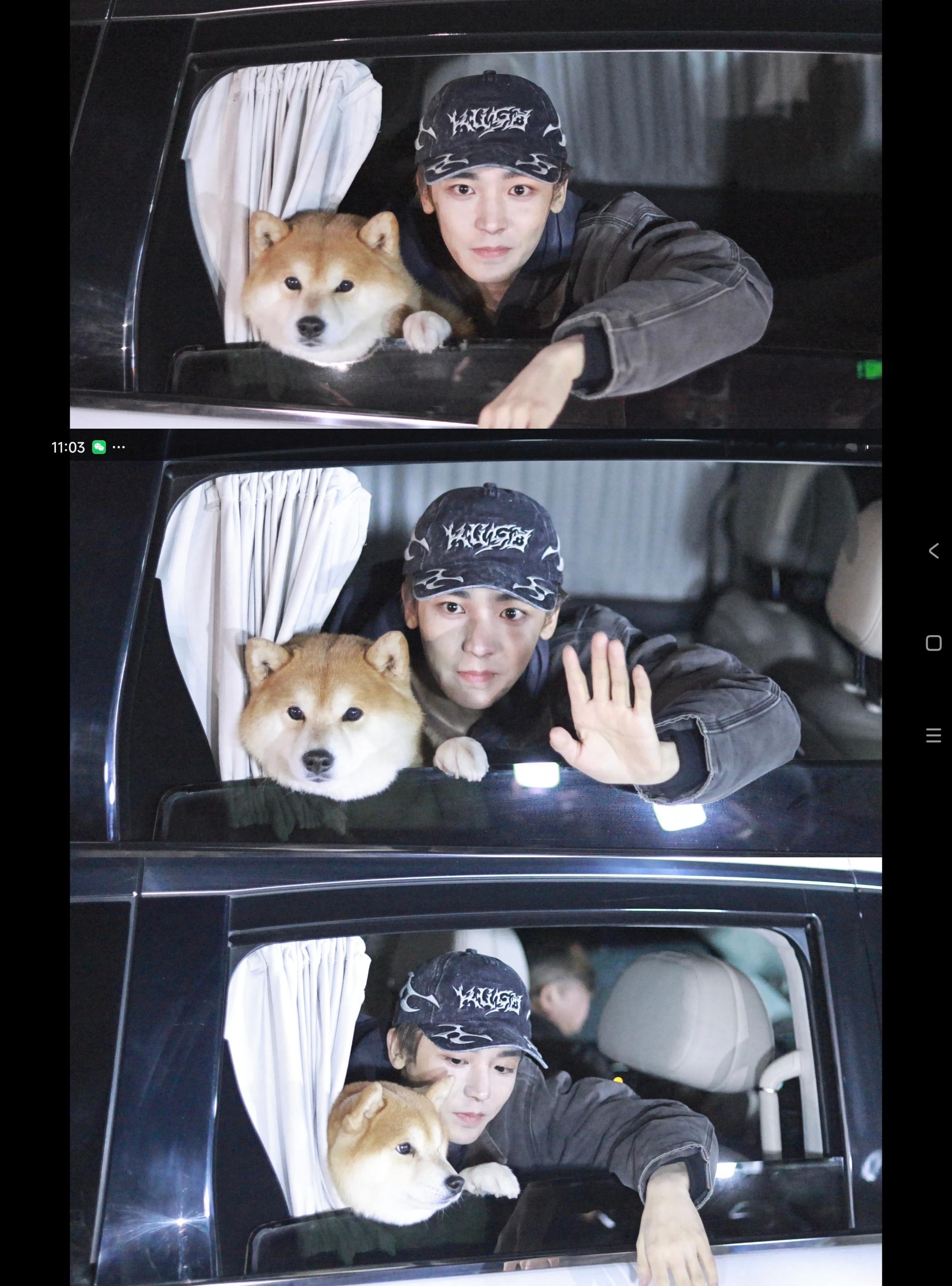 啊啊啊怎么可以那么可爱啊啊啊！！萌晕了