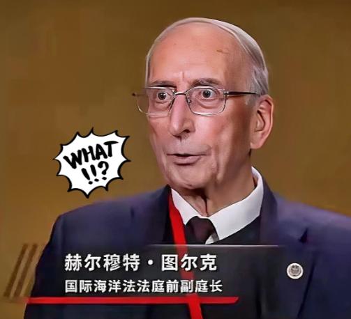 近期报道，国际海洋法法庭前副庭长图尔克发声。他明确表示，2016年南海仲裁案的仲