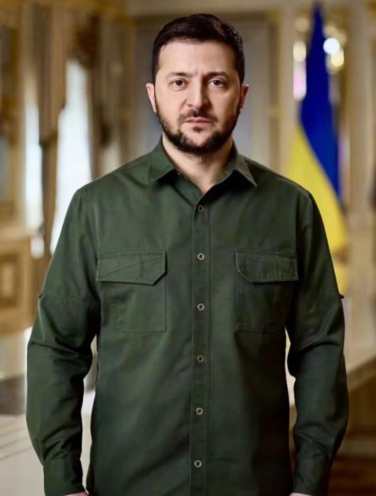 炸锅了！泽连斯基一句话，让纠结了近三个月的欧洲能源局势，终于有了新动静——他直接