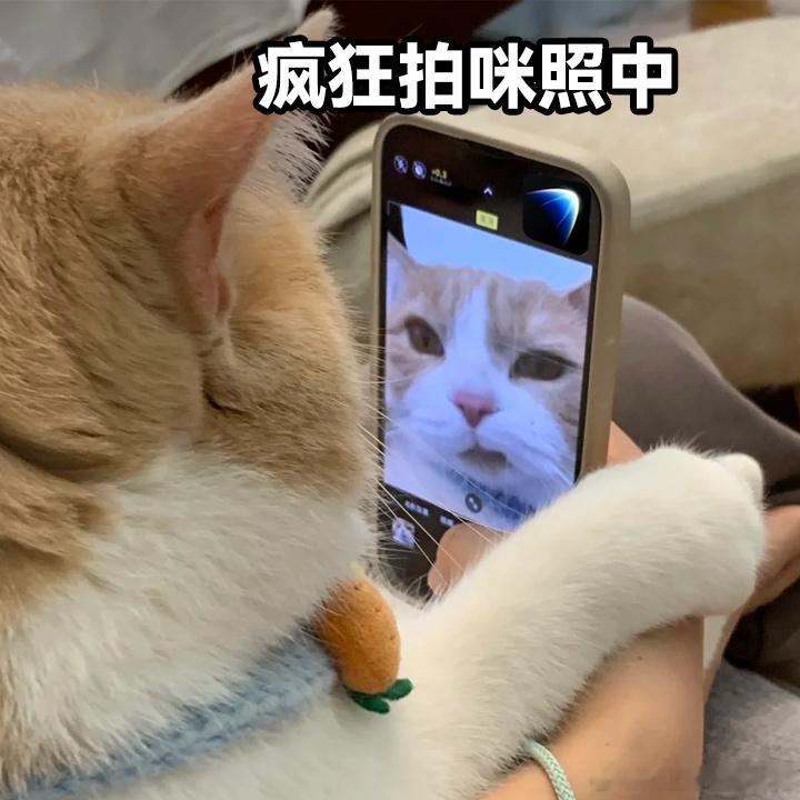 原来好的大学真的有隐形福利 不只是文凭，更是底气。自由的学术氛围，丰富的实践机会