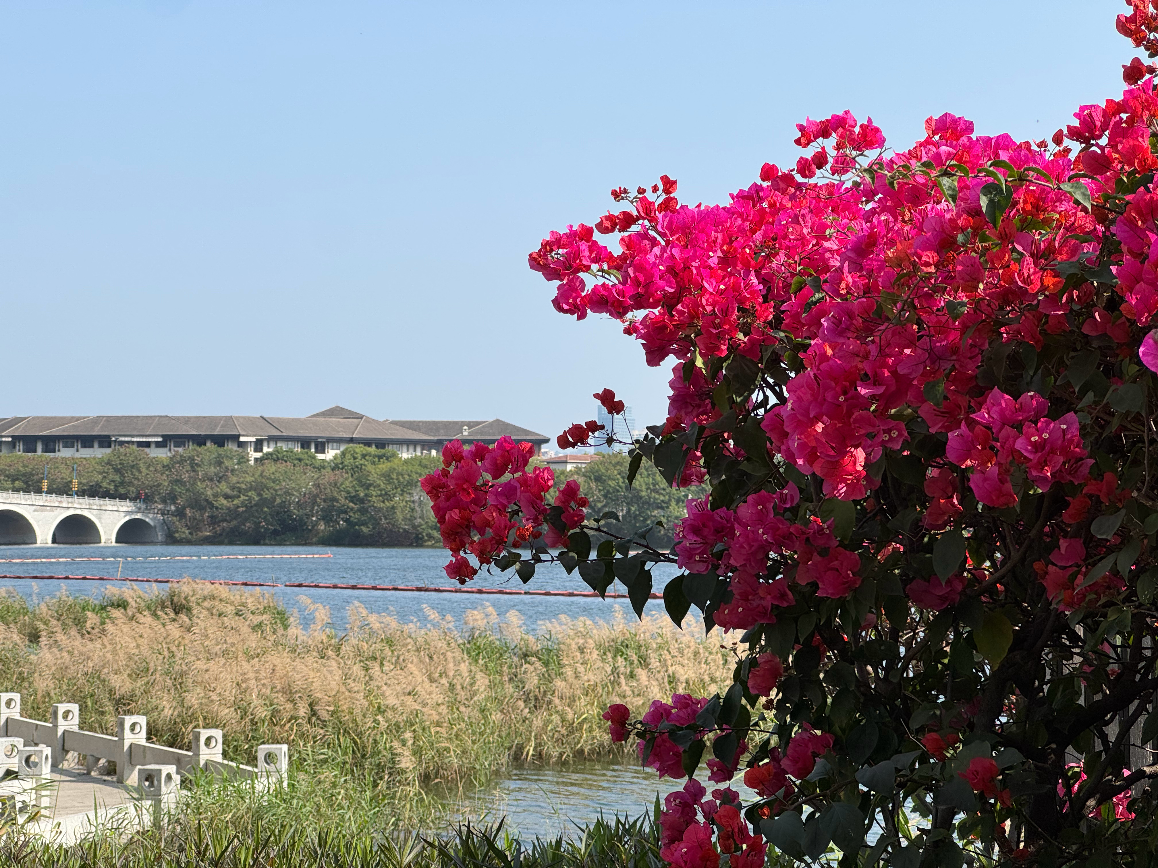 点开live，感受风，时而温柔，时而热烈。过年在家养成的早睡早起，精神状态特别好