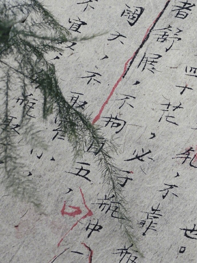 易烊千玺毛笔字上新 工作室分享了的毛笔字，特别有夏天的气息，千玺还是太全能了，迫