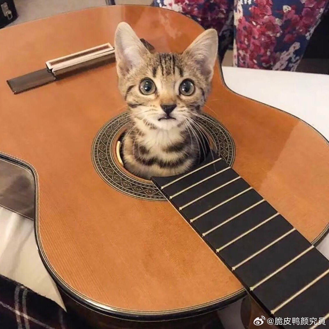 分享图片 