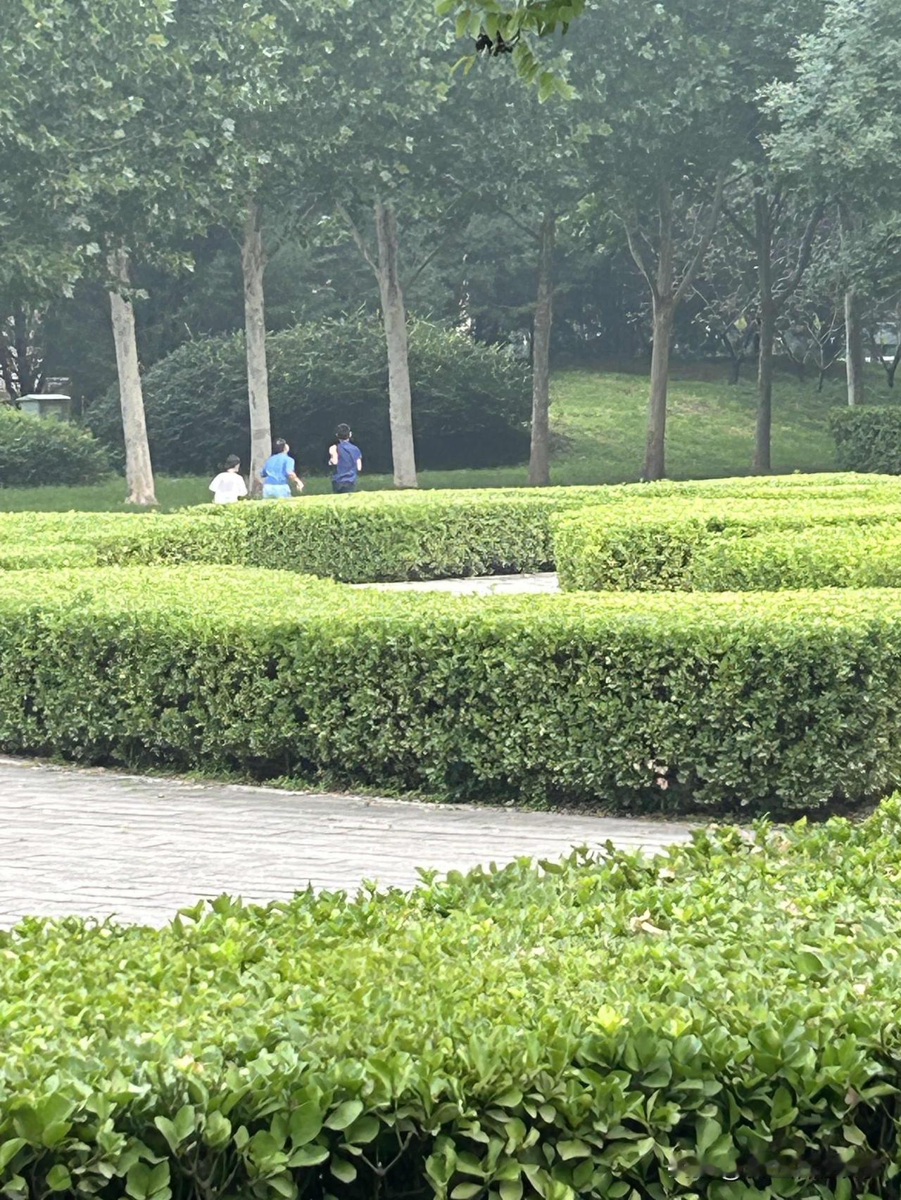 畅想居家养老

还未到花甲，我常会畅想十几年后的养老生活。比起养老院，我更愿意守