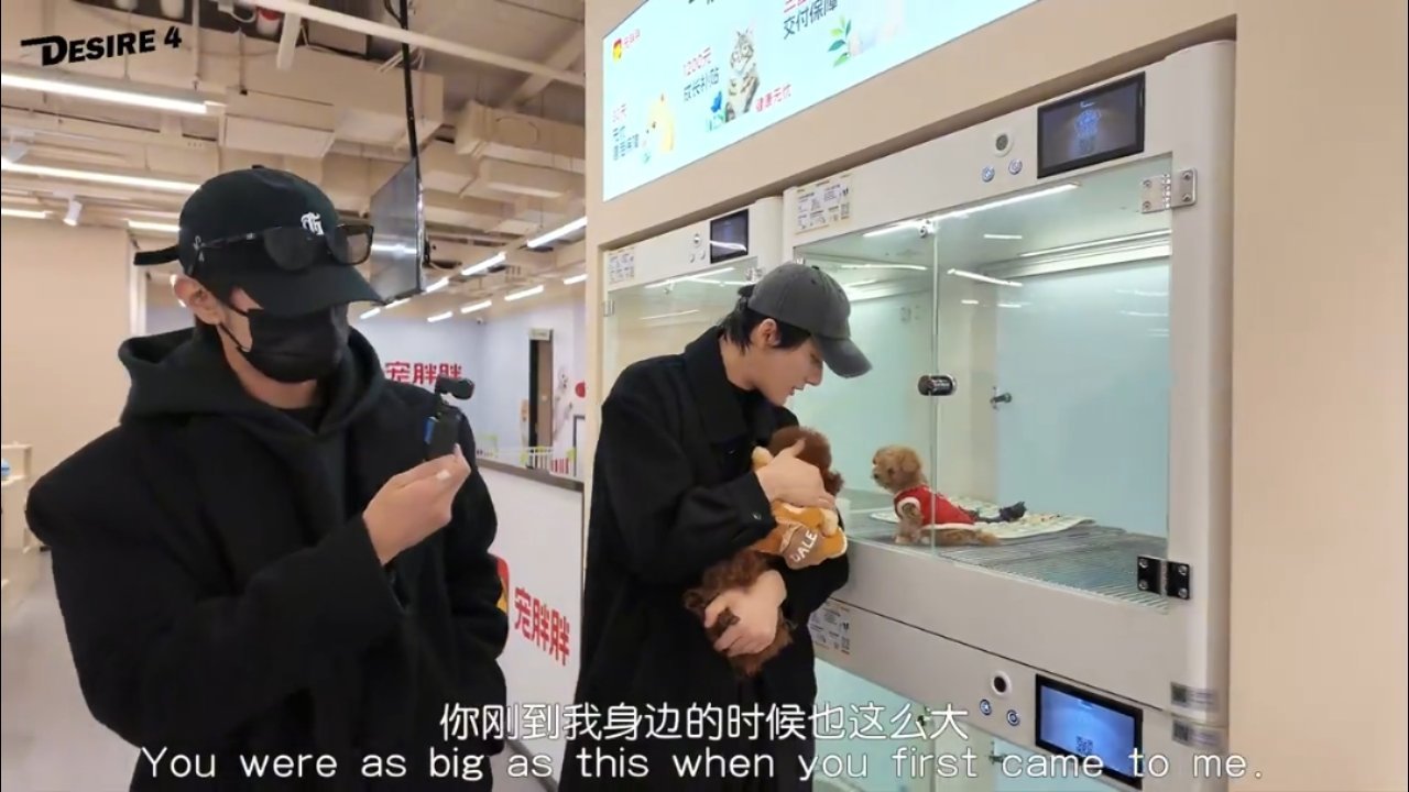 “你刚到我身边的时候也这么大🥺” 