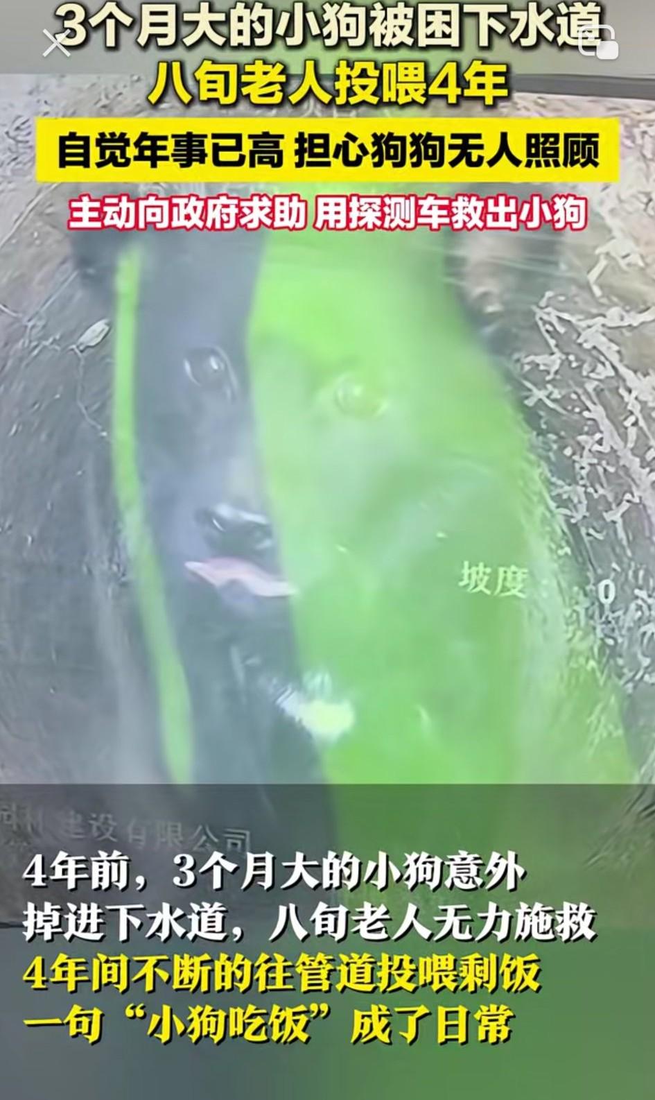 浙江永康，一只小狗被困下水道整整四年，但这四年间，一直有位80多岁的老人，每天趴