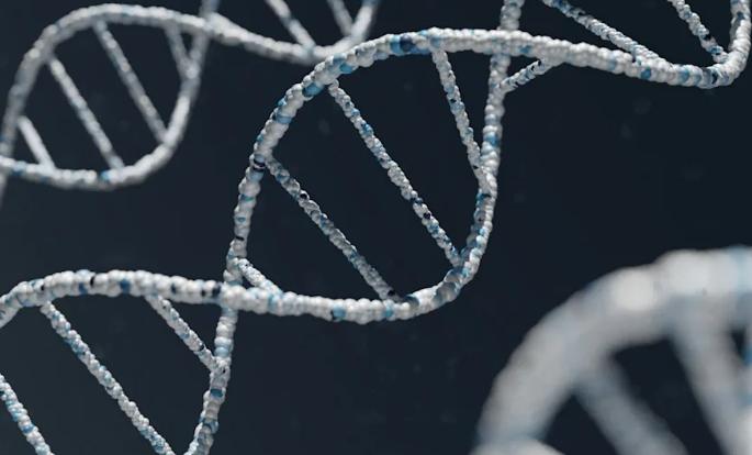 【胡文琦：橘营公道话：朝野都应验DNA】
针对台北市长蒋万安究竟是否真正为蒋家后