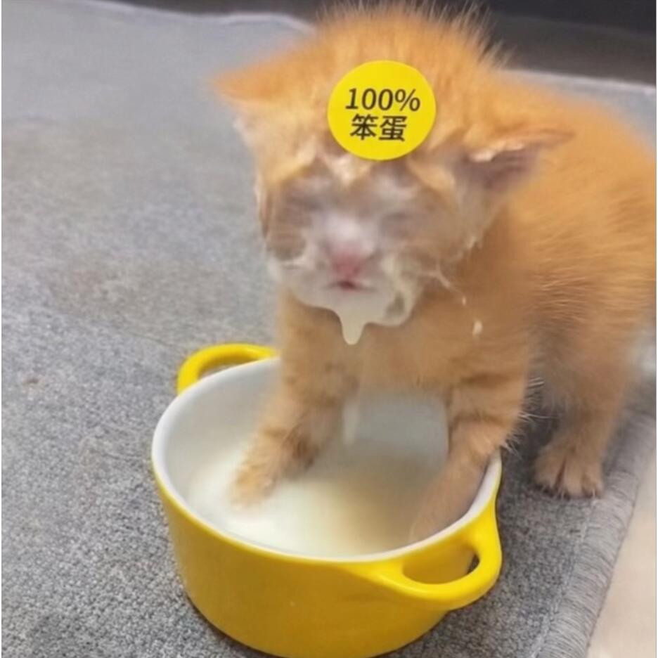 小年不吃呆。 ​​​