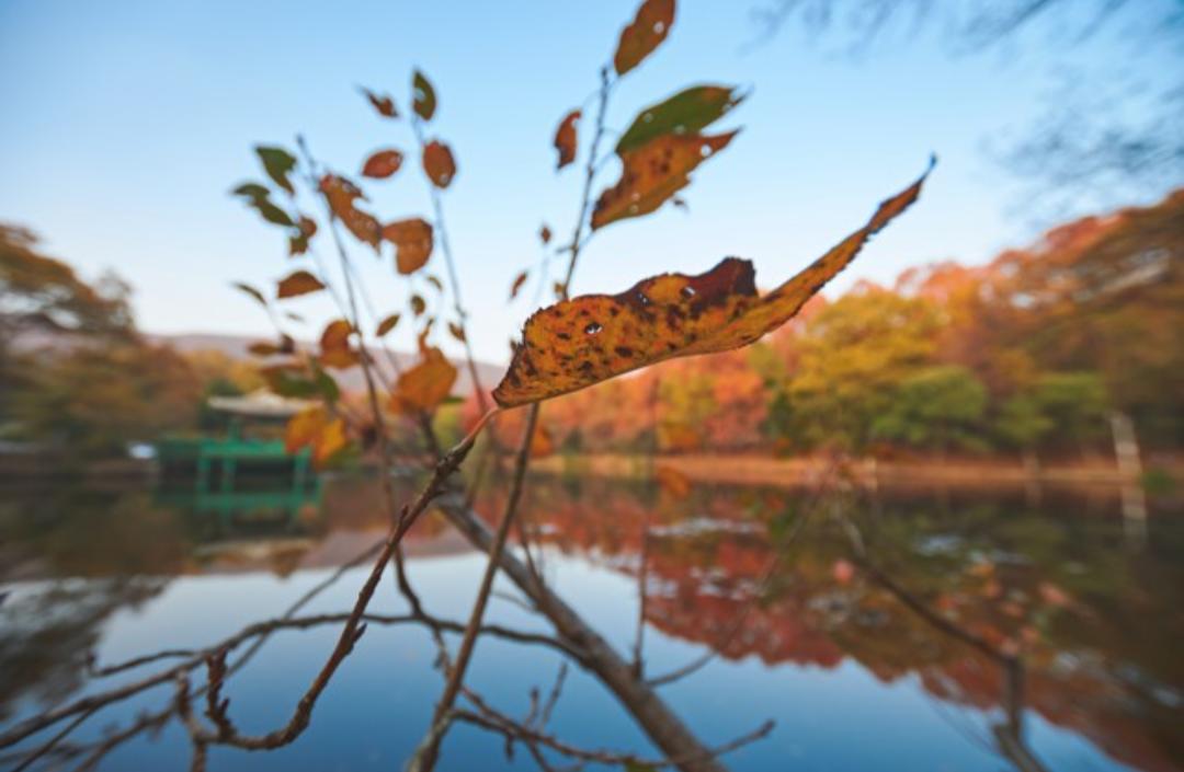 头条所有爆款，都是天时地利人和的结果！
别再迷信“文笔好就能火”。
你写得掏心掏