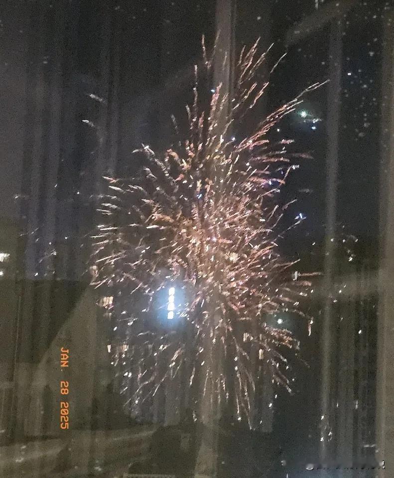 今年除夕夜的烟花爆竹声与以往不同，阳历年的年味儿大多聚集在海边，而今晚的烟花在家