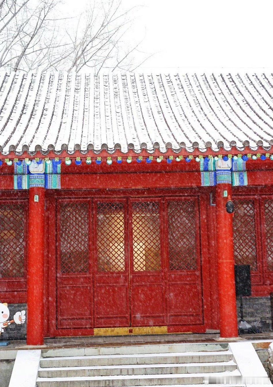 快看啊下雪了朋友圈被北京的雪刷屏了！！你们那下雪了吗？？ 