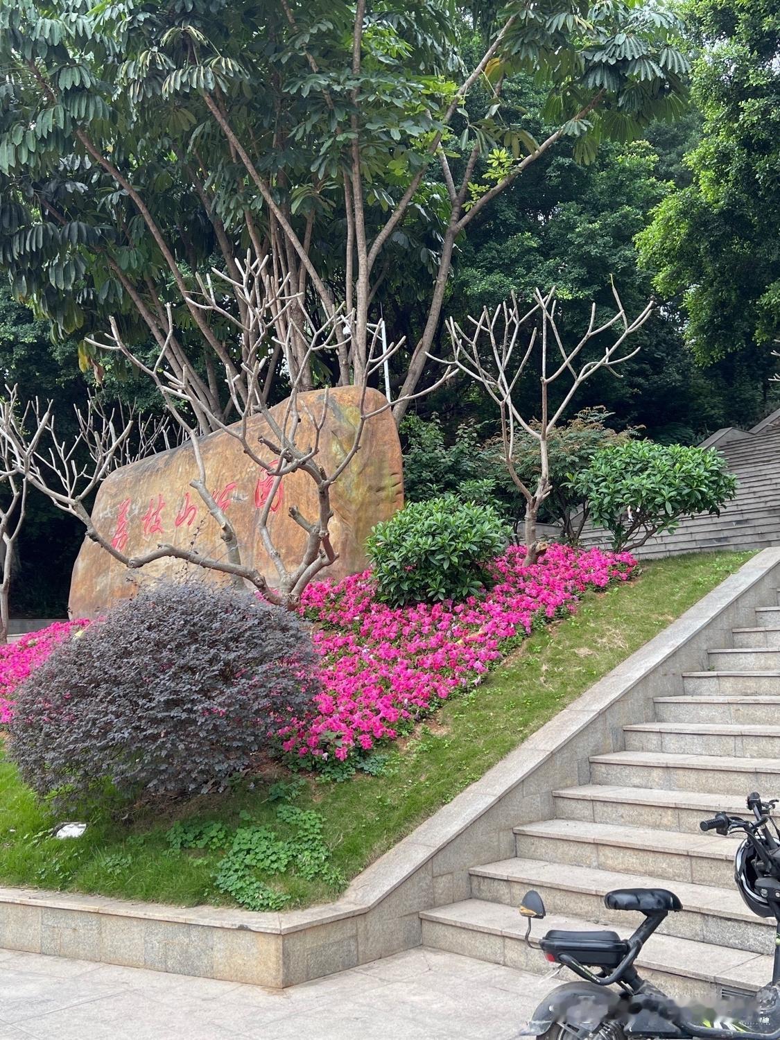 荔枝山公园春日漫游指南🌿

在市中心发现了一处被绿荫环绕的宝藏地！趁着春光明媚