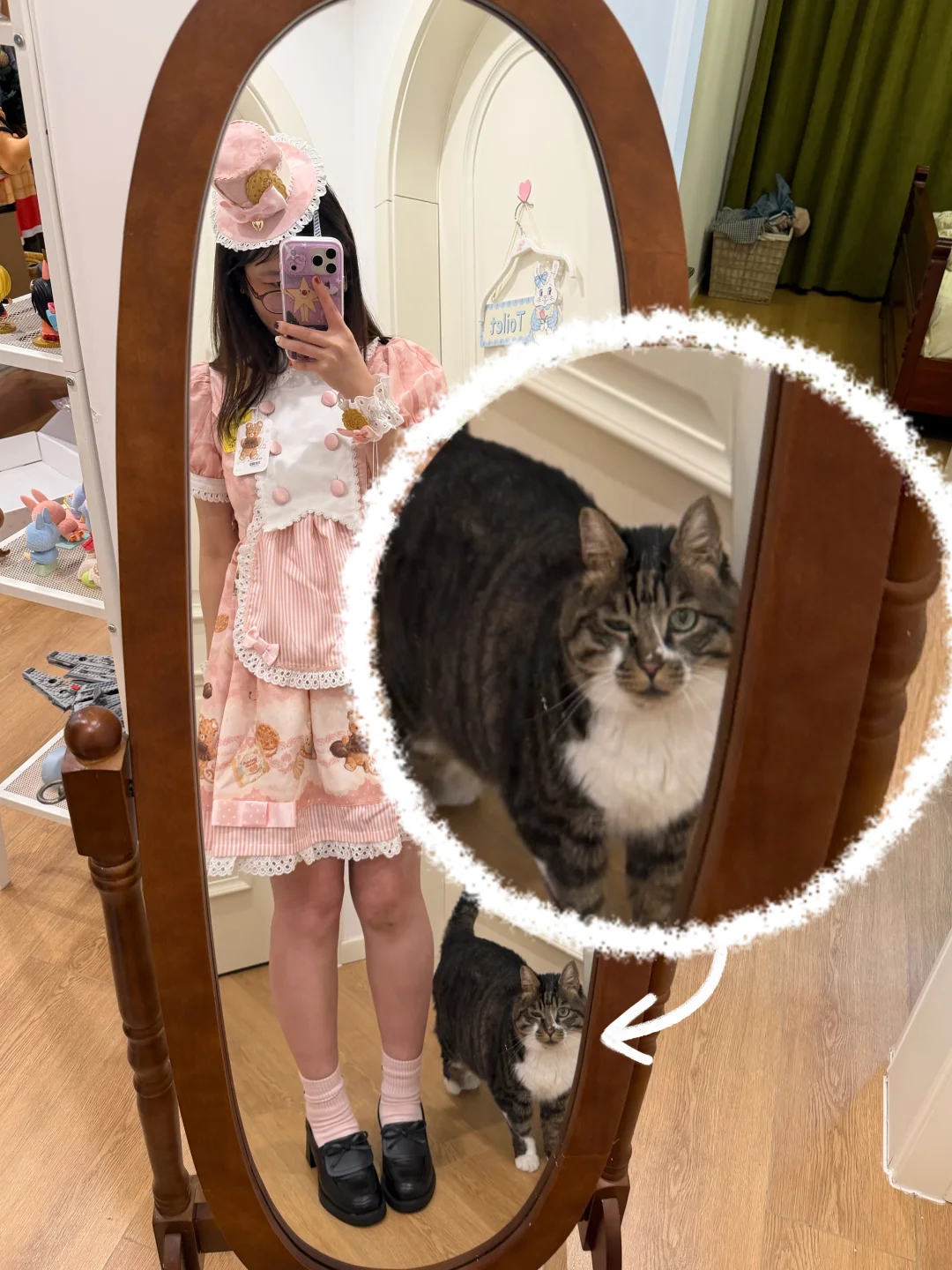 眼睛发炎还努力出镜的我家猫，可怜又好笑