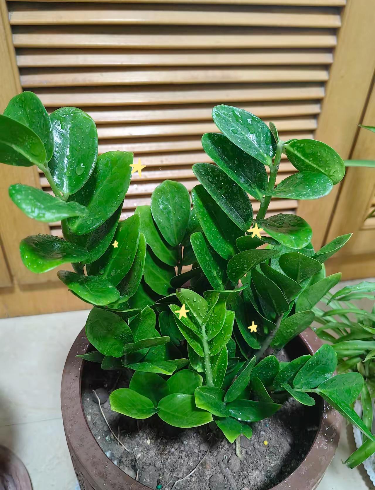 洗洗睡吧，明天A股走势已经明确了！
    美伊冲突让手里有股票的投资者坐立不安