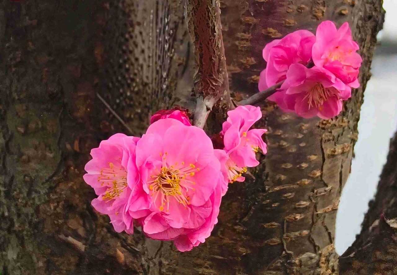 我的今日状态：😁轻松愉快
我这里的天气：☀️晴天