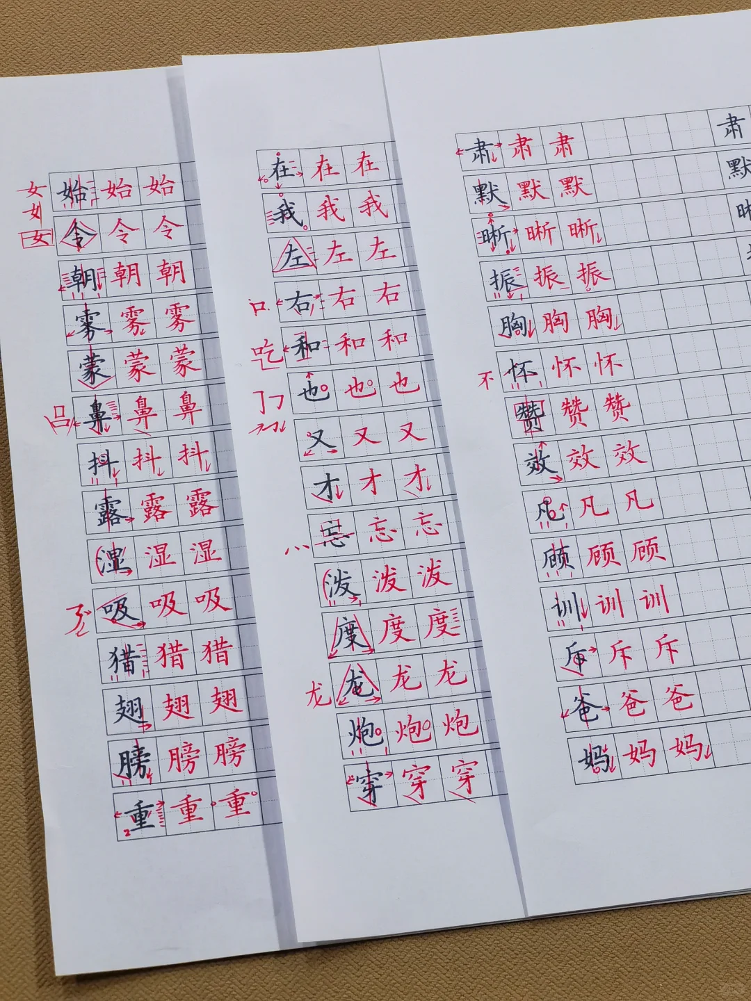 硬笔培训手稿✍️