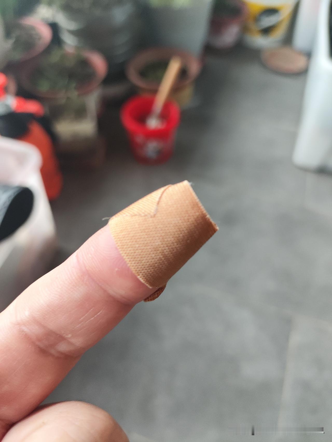 奶奶的
准备全素做个饭
结果搞了点荤的[笑哭][笑哭][笑哭]