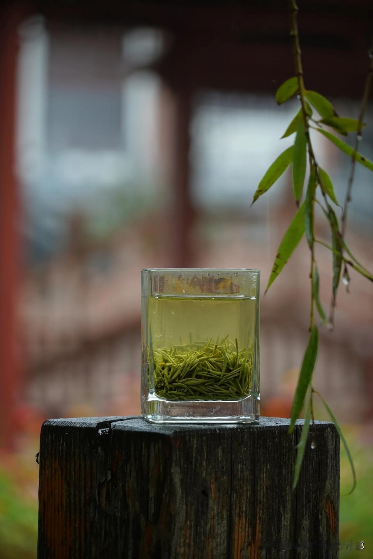 雨天最适合喝茶。