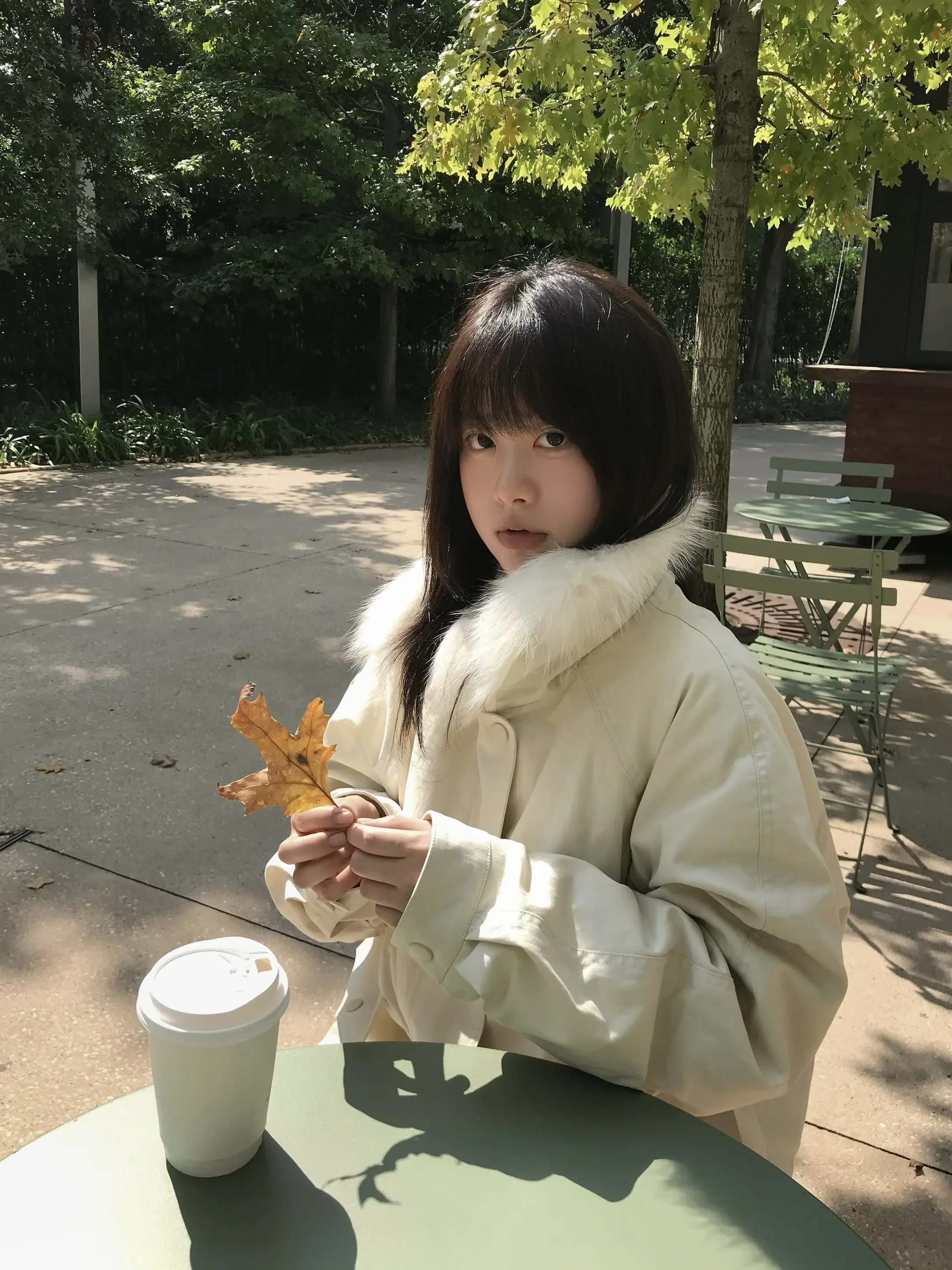 🍁。