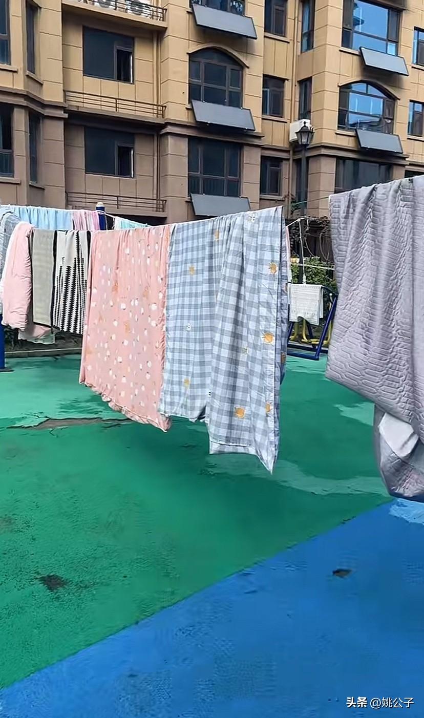 终于在国庆节前迎来了限量版的晴天，仅仅两天，久违的大太阳！洗衣机都要转冒烟了，大