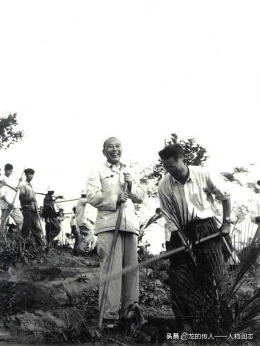 王震和华南热带作物学院师生一起在西联农场劳动。