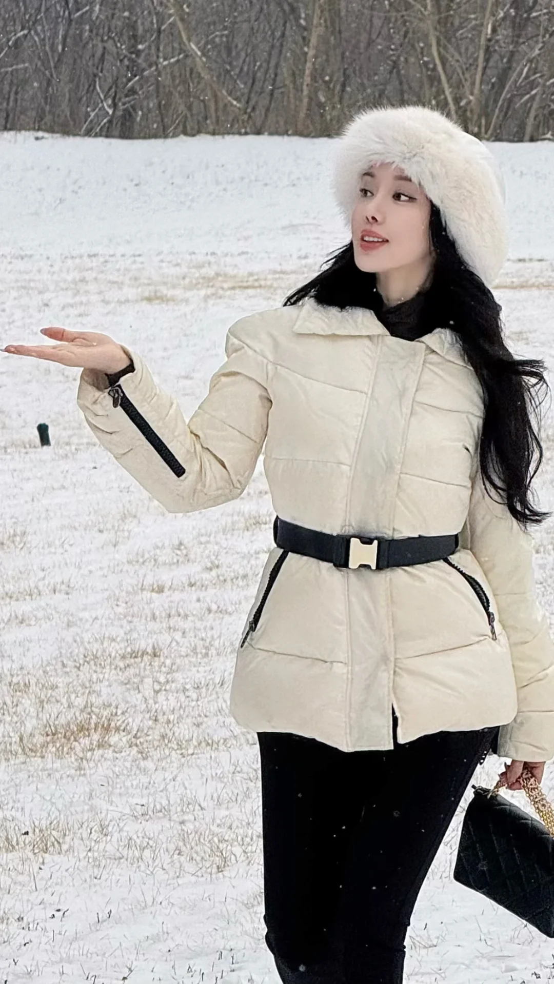 纯白限定 · 京城雪景