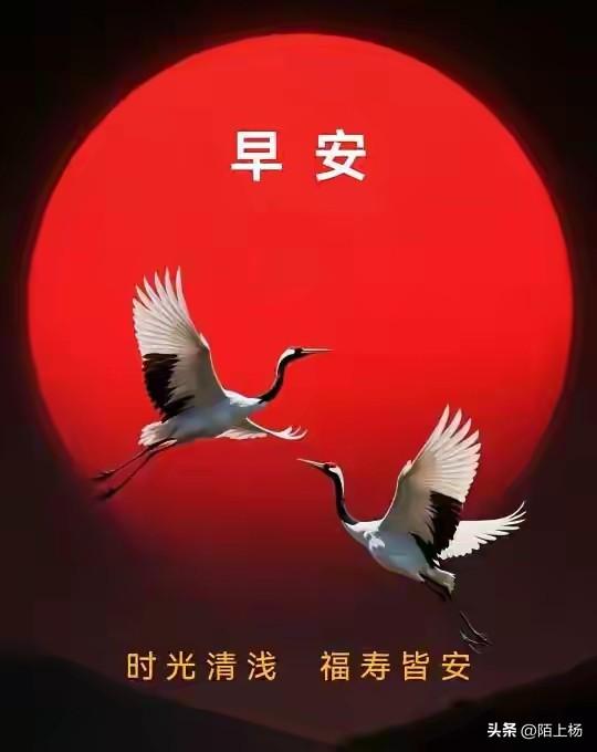 有女儿是福！人老了，真羡慕儿女双全的幸福！

年轻时，养个儿子轻松，感觉不到不好