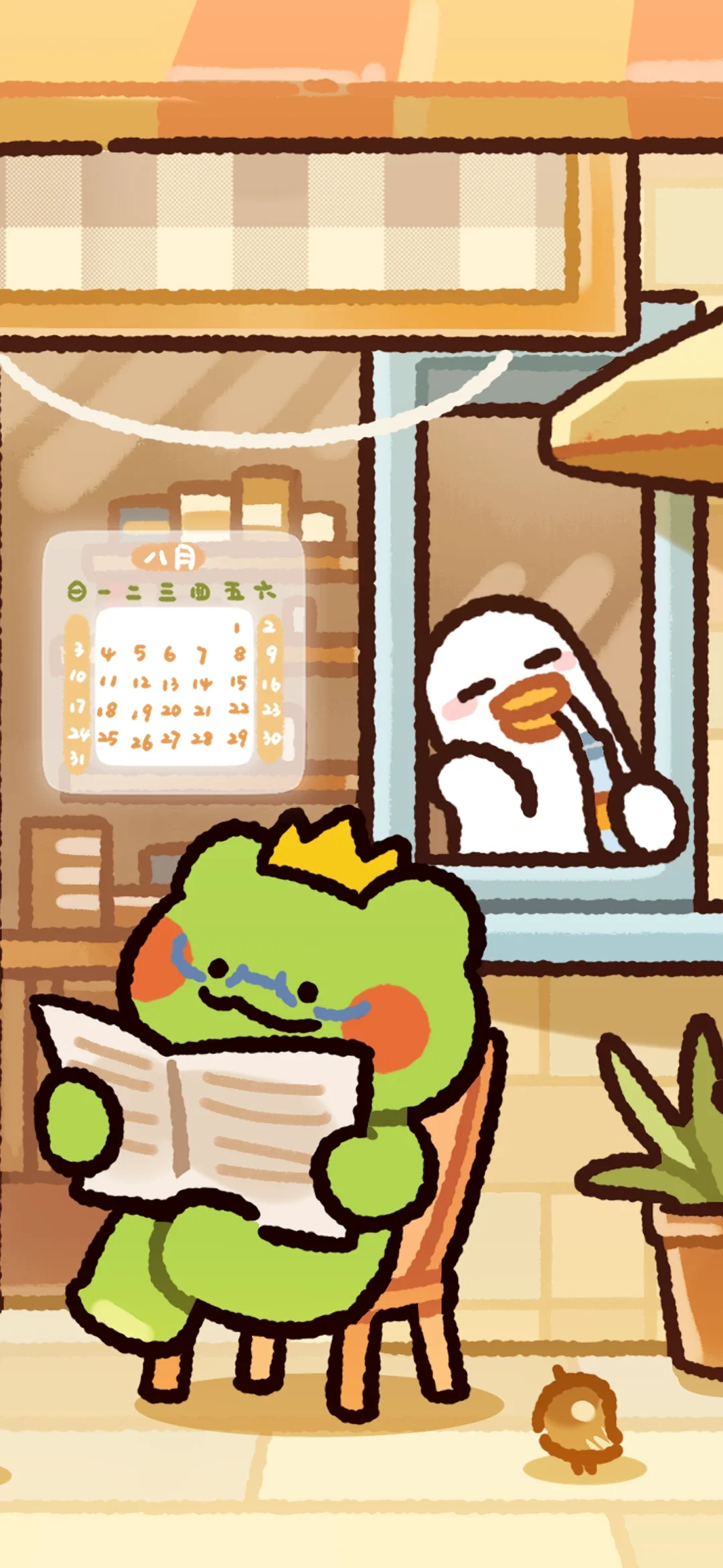 八月的波仔来咯！