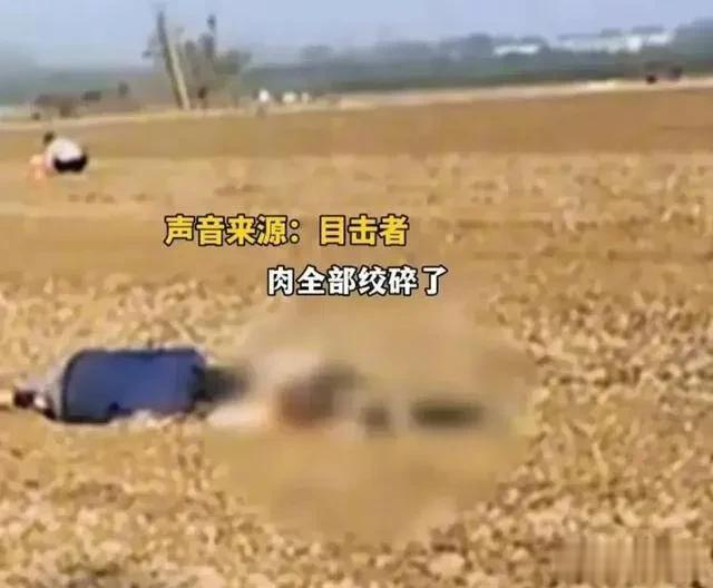 谁的悲哀！河南老人捡花生被绞死，老伴趴在地上痛哭，为何舍命也要捡？农村农民生活太