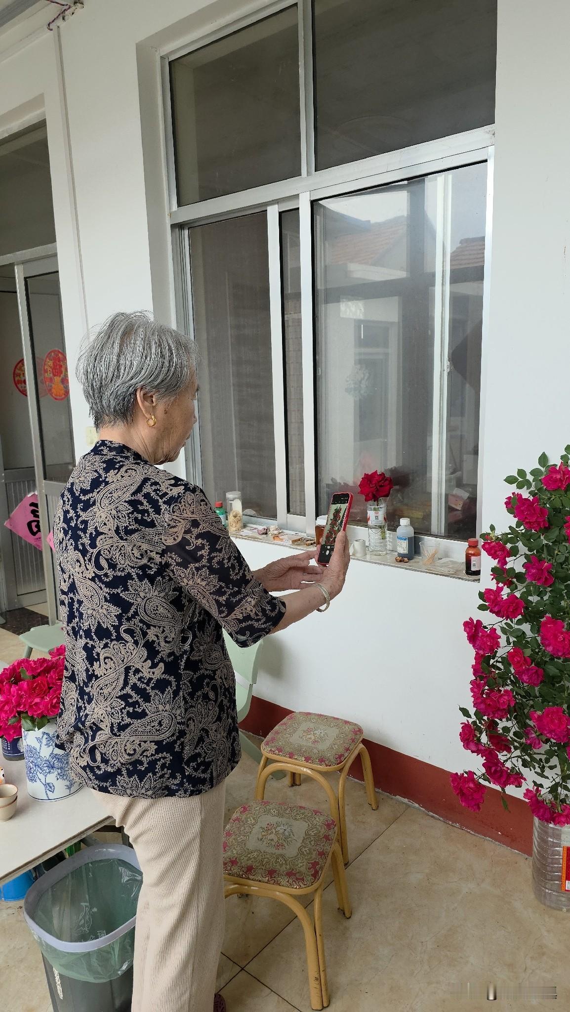 回村四天，老母亲精神和胃口都好起来了，没想到她这么喜欢花……

.今天下午，跟西