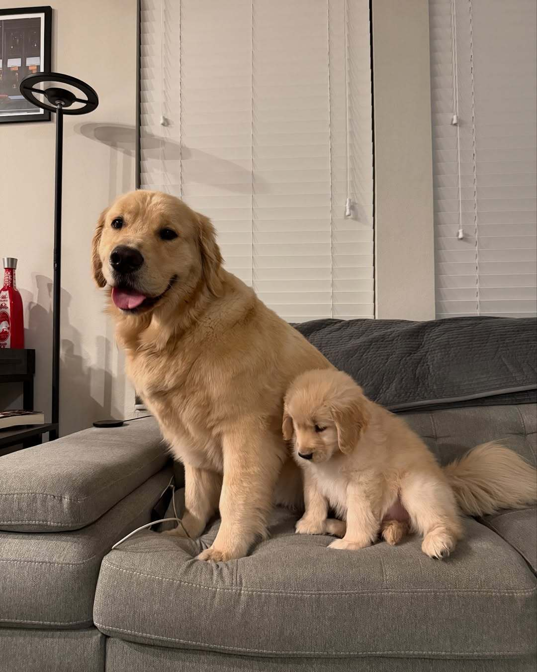 妈妈，是爸爸带我看电视的，不是我自己开的 