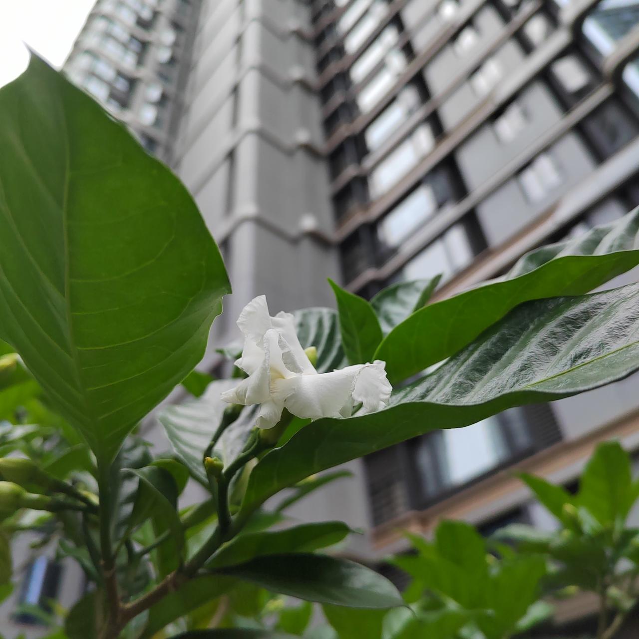 看头条，了解台湾：
沈伯洋被民进党推选为台北市长候选人，夸奖沈伯洋的口径绿营很一