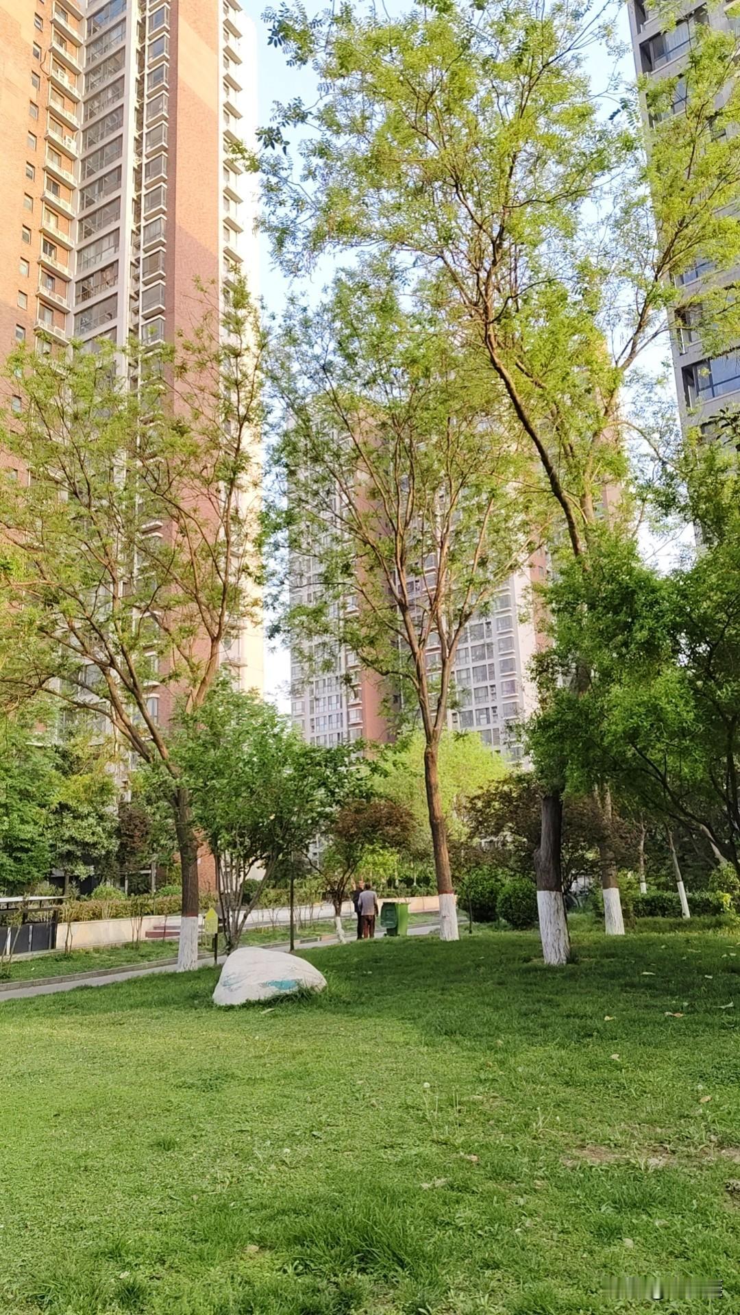 35岁以上的单身女性和年收入低于10万的单身男性已经被挤出郑州婚恋市场了？这不是