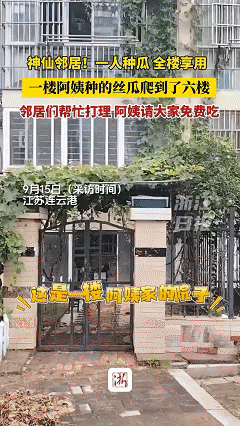 这下好了，全国人民都知道了！江苏连云港一楼阿姨种的丝瓜竟一口气爬到了六楼，不仅没