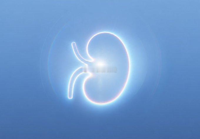 iPhoneDuo溢价至79999元 不是，溢价5000块我能理解也接受不了，但