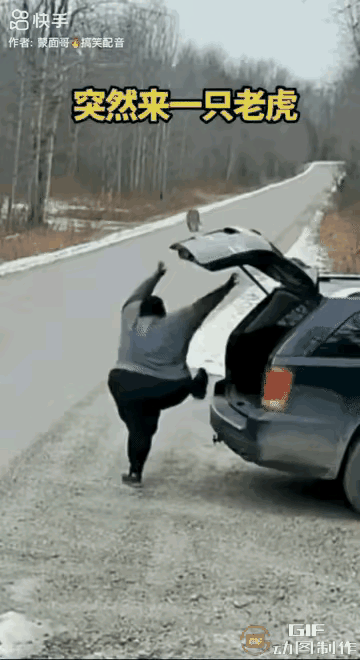 多亏头脑比身材更灵活，要不然当午餐了[捂脸][捂脸][捂脸]