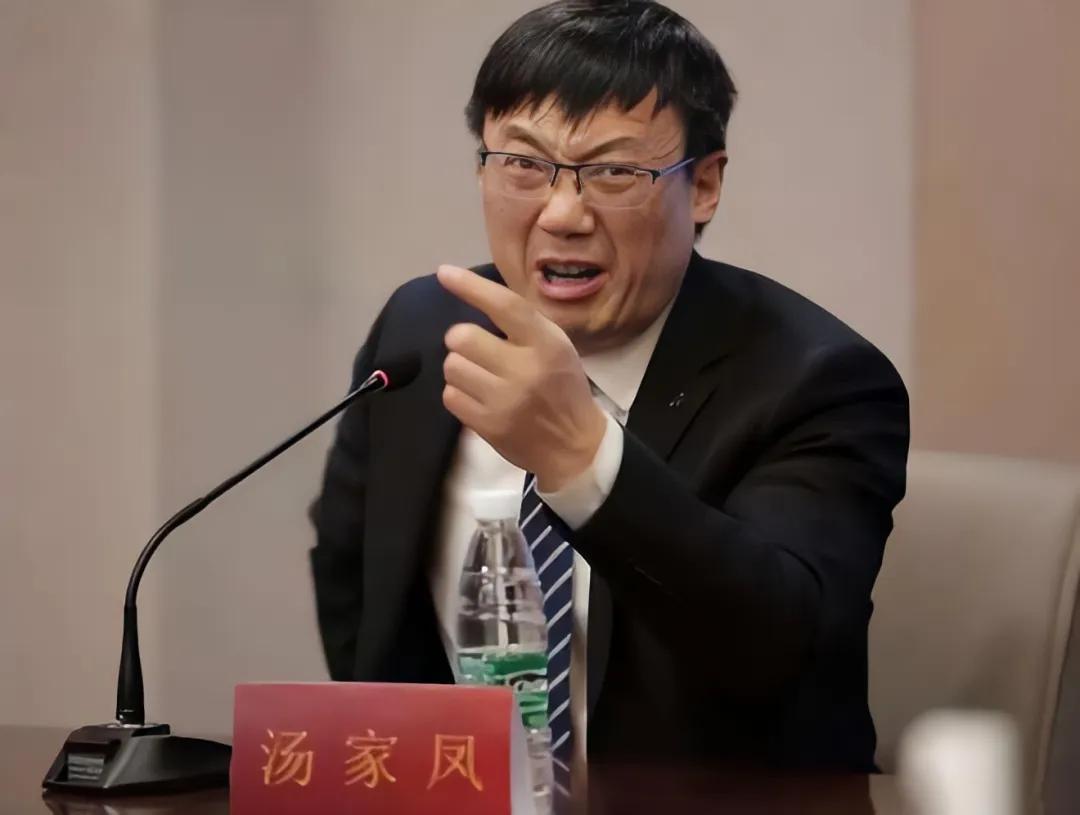 跨界之王——汤家凤!
2026年最出圈，最成功的跨界社会热点评论家，当属汤家凤。