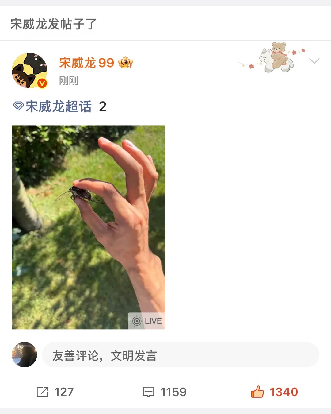 宋威龙徒手抓知了 好搞笑的抓知了连续剧 