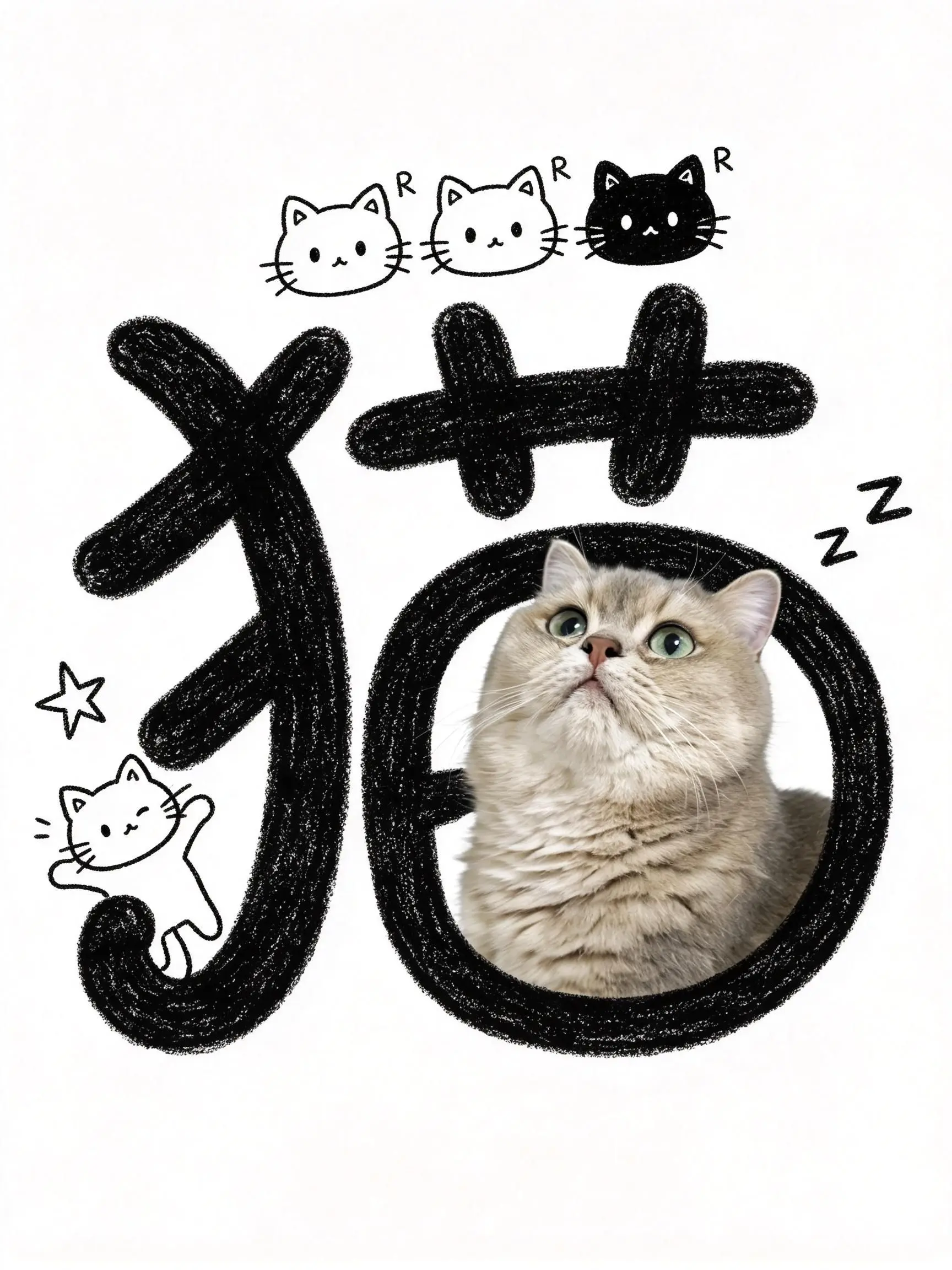 谢谢你做我的猫
