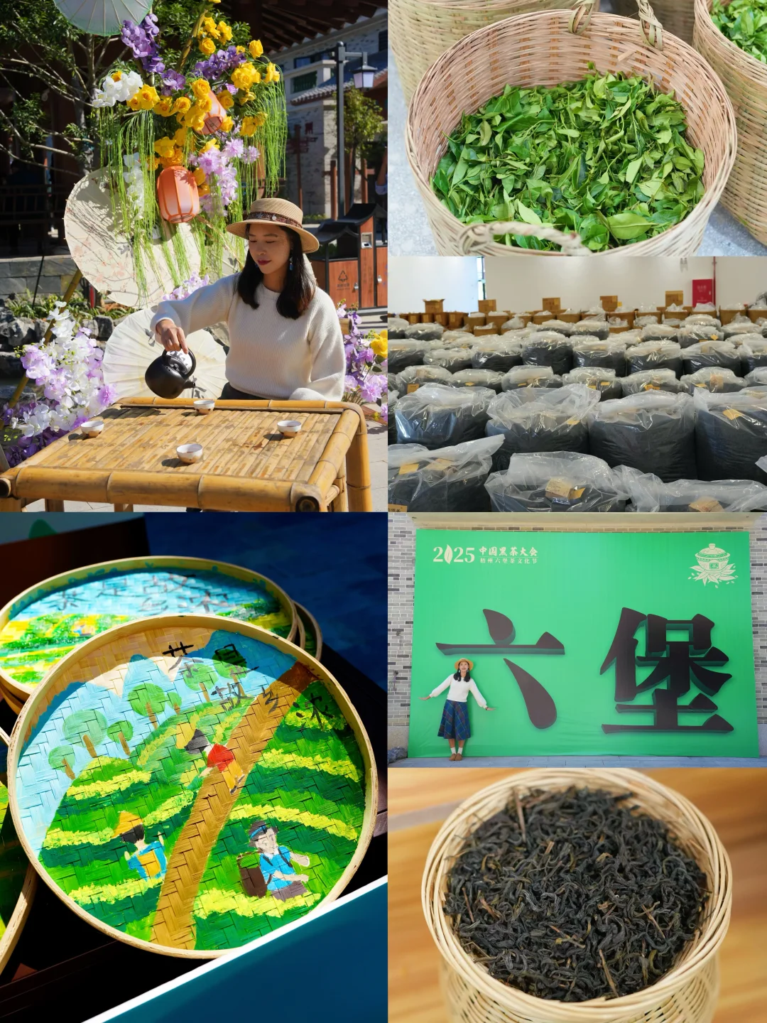 梧州丨苍梧六堡茶小镇🍵开仓开街开市啦！