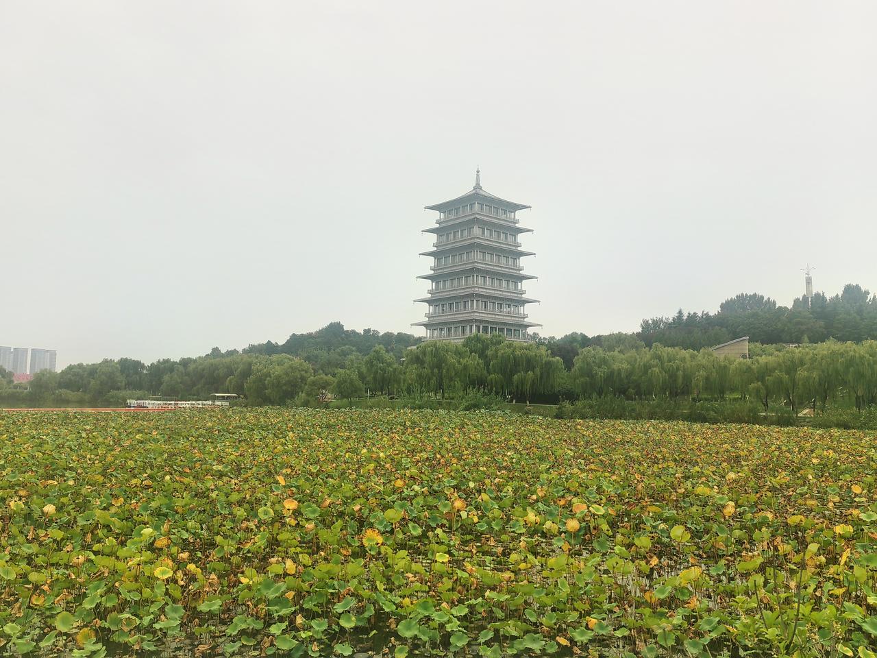 国庆之际，到西安世博园赏秋，避开了市区城墙、回民街、大唐不夜城的众多人潮，这里停