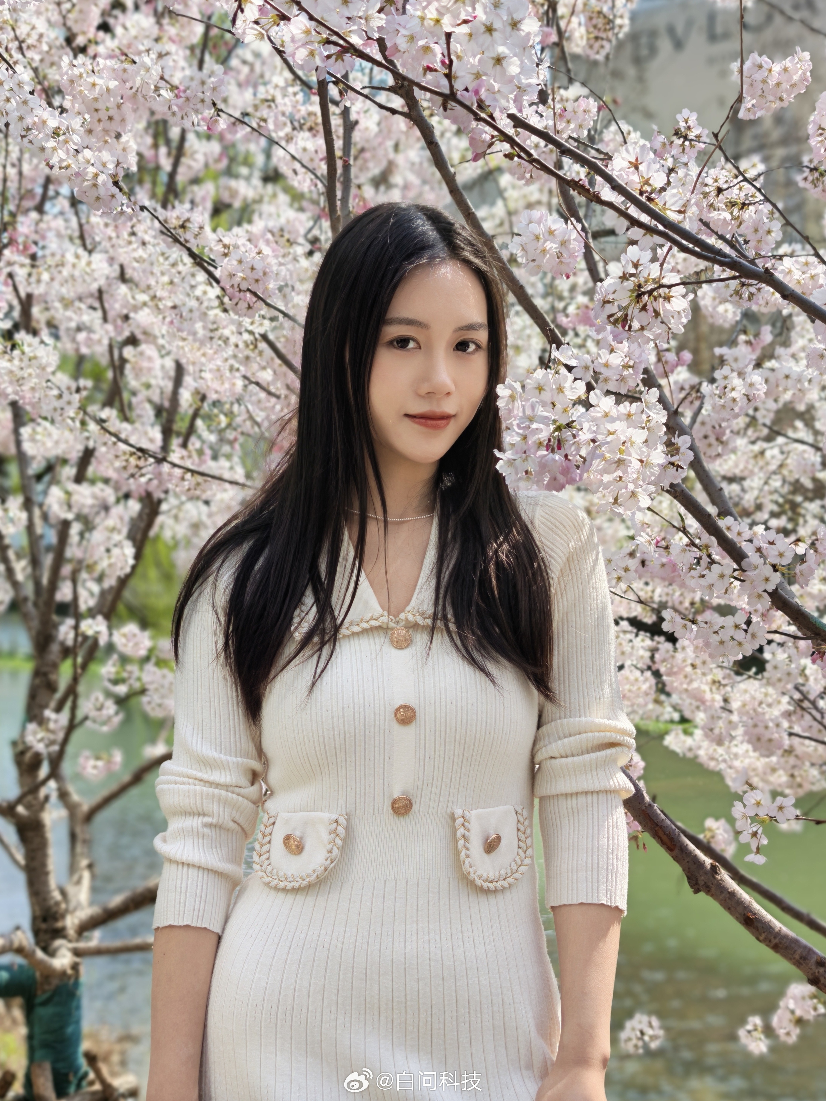 正好武汉的樱花都开了！赶在新一批Ultra发布前再发一波人像盲评～ iPhone
